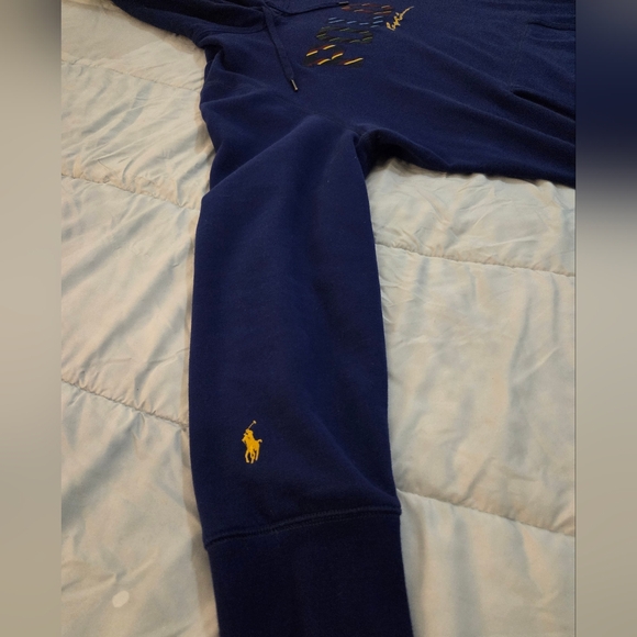 Polo Ralph Lauren Boston Common Hoodie - Picture 2 of 8